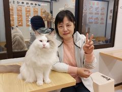 -有喵·猫咖·狗咖·40+猫狗有小奶狗(岗厦店)