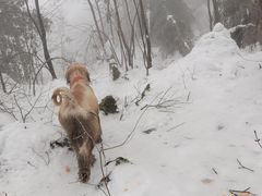 -九峰山