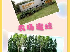 -前小桔亲子创意农场·草莓采摘·露营烧烤