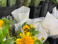 -循礼门鲜花花市(武汉循礼门店)