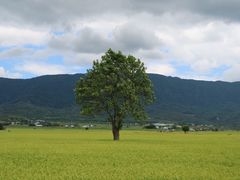 -瑞穗牧场