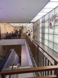 -YESIDO椰岛造型
