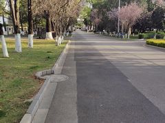 -云南师范大学(一二一西南联大校区)