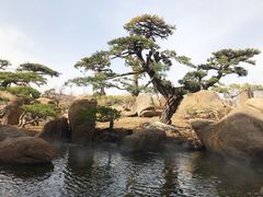 -罗红摄影艺术馆