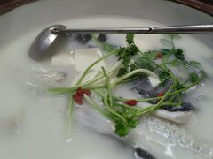 -宝荣鱼馆·临湖之宴(千岛湖店)