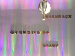 -烹然四季椰子鸡火锅(姚家园万象汇店)