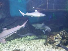 -横店影视城梦幻谷园区