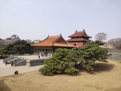 -北陵公园