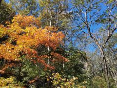 -玉渡山自然风景区