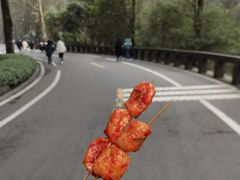 -青城山