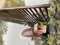 -海南热带野生动植物园