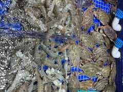 -高佳庄·舟山海鲜(海景旗舰店)