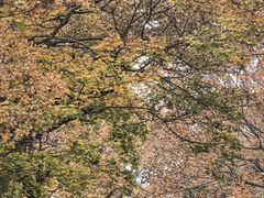 -青岛海滨风景区
