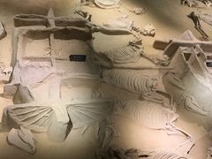 -洛阳周王城天子驾六博物馆