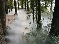 -东湖落雁景区