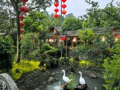 -青城甲(青城山店)