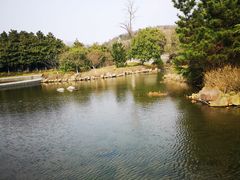 -白马涧龙池景区