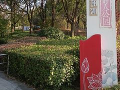 -南翔镇银翔湖公园