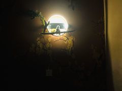 -端艾堂·SPA·艾灸(棕榈泉013店)