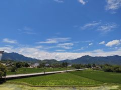-黄牛肉馆·皖南土菜