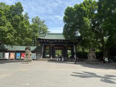 -桂湖森林公园