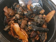 茶油焖黑鸡/只-茶油香闽南菜·花园餐厅(前埔店)