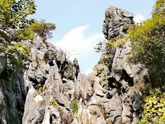 -千岛湖石林