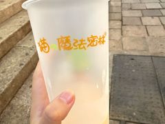 -猫的魔法密林(衣裳街店)