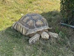 -泉州海丝野生动物世界