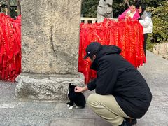-云龙山