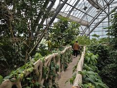 -南山植物园