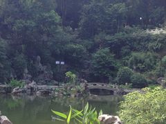 iphone_upload_pic-忠山公园