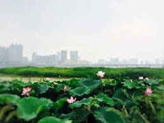 -宝翠花园餐厅(沙湖店)