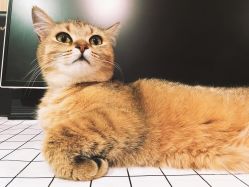 -咪咪比基尼脱毛专业店