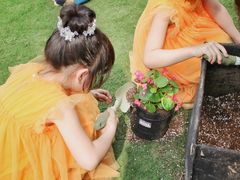 -前小桔亲子创意农场·草莓采摘·露营烧烤