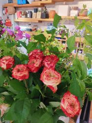 -今日陶艺(富力广场店)