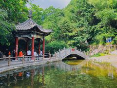 -王顺山国家森林公园