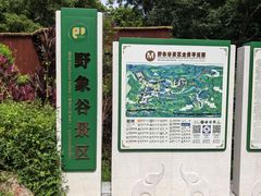 -野象谷景区