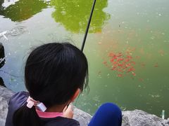 -朝阳公园游乐园