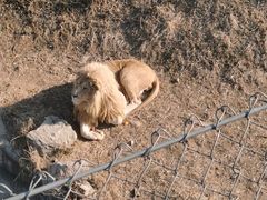 -石家庄市动物园