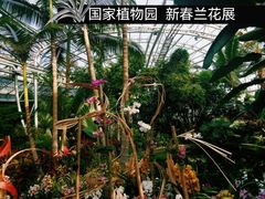 -北京植物园-展览温室