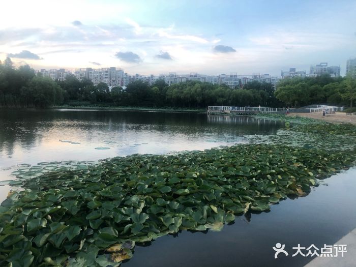 新江湾城公园图片