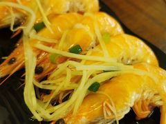 -明潭茶老爸