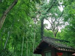 -杭州黄龙洞