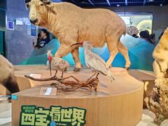 -陕西自然博物馆