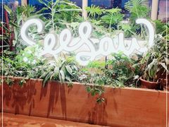 -Seesaw Coffee(朝阳大悦城店)