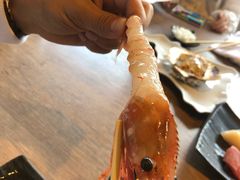 -札幌二条市场 大矶(本店)