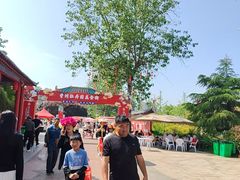 -曹州牡丹园