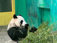 -杭州野生动物世界
