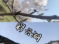-重庆彩云湖湿地公园